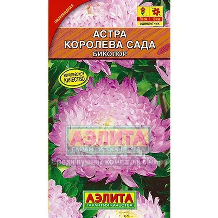 риджентс парк сад королевы марии. риджентс парк сад королевы марии. отзывы сады королева. роза риджентс парк. астра королева сада биколор 0,2г ц/п аэлита.