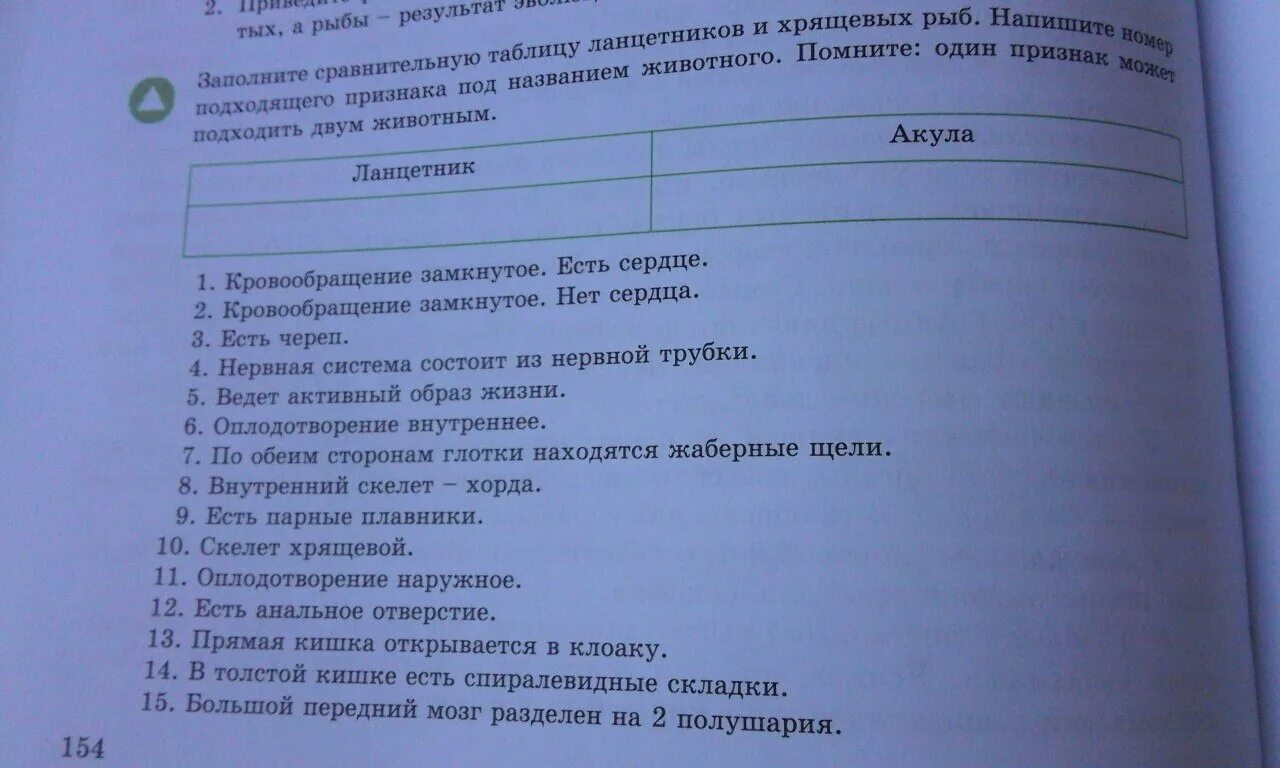 Сравнение ланцетника с рыбой. Сравнительная таблица ланцетника и рыб. Сравнительная характеристика ланцетника и рыб. Сравнение ланцетника и рыбы таблица. Ланцетник характеристика таблица.