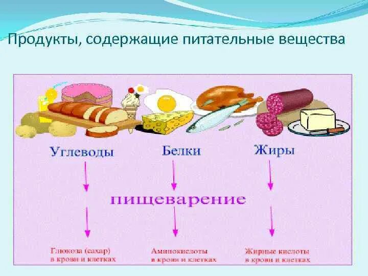 Питательные вещества в продуктах. Пищевые продукты и питательные вещества. Питательные вещества питательные продукты. Пища содержащая питательные вещества.