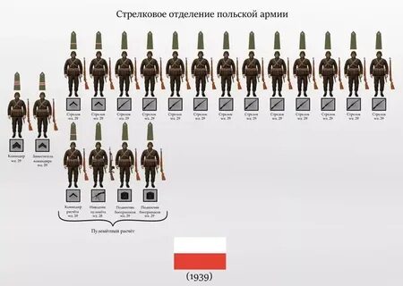 Состав пехоты