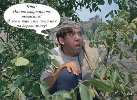 Подождем сдавай