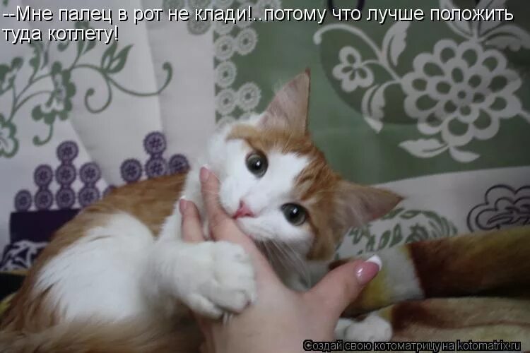 Как будет я тебя съем. Я тебя съем. я тебя съем картинки. съем тебя фото.