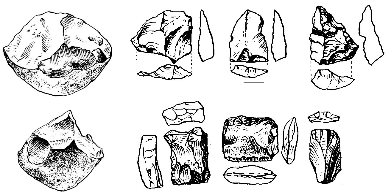 Синантроп орудия труда. Орудие трупа синантропа. Орудия труда питекантропа и синантропа. Каменные орудия палеолита. Рисунки рубило