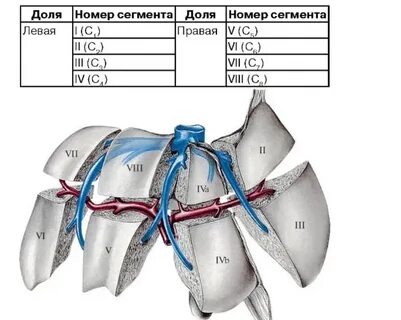 Страницы и сегменты