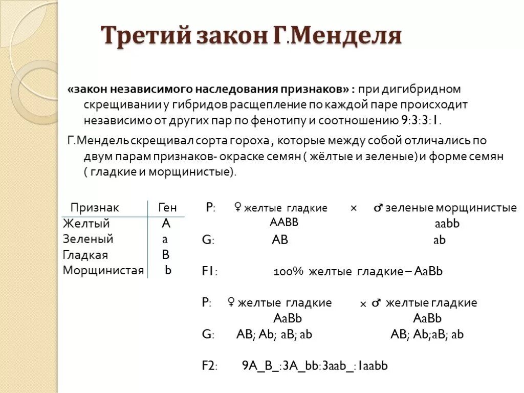 Определите количество типов гамет при дигибридном скрещивании. Задачи на 2 закон Менделя с решением. Задачи по генетике 3 закон Менделя с решением. Третий закон Менделя задачи с решением. Задачи на генетику третий закон Менделя.