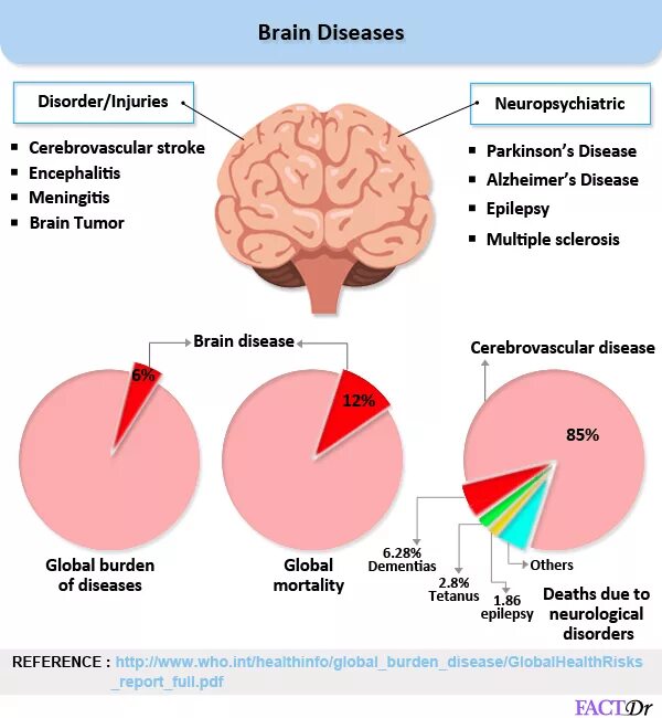 Brain disorders. Болезнь Альцгеймера головной мозг.