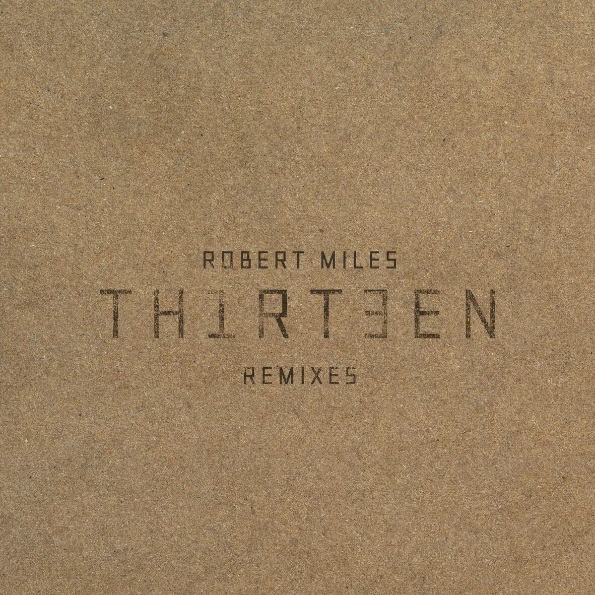 Robert miles remix. Robert Miles th1rt3en. Robert Miles Thirteen. Megadeth th1rt3en. Th1rt3en обложка альбома.