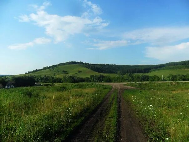 Суккулово Ермекеевский район. Деревня Суккулово Ермекеевского района. Башкирия село Суккулово Ермекеевский. Новошахово Ермекеевского района. Суккулово дюртюлинский район похищали детей