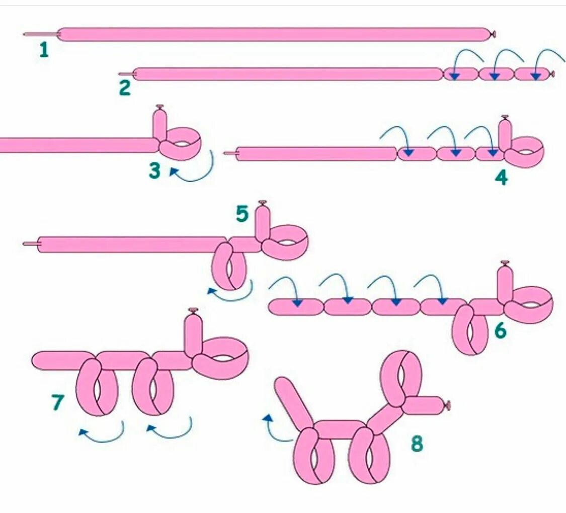 Как сделать собаку из шаров. Собачка из шарика колбаски схема. Собака из шарика колбаски схема для начинающих пошагово. Собака из шарика колбаски схема. Собачка из шарика колбаски пошагово.