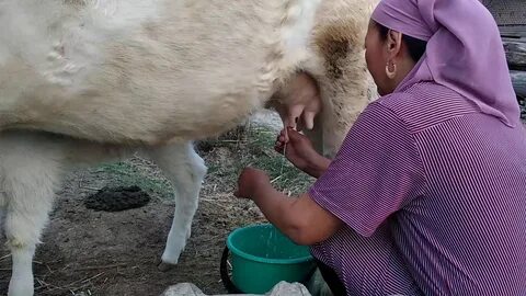 Бен 10 трахает Гвен секс порно