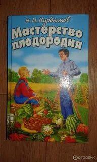 Книга мастерство