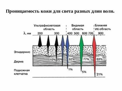 Спектры кожи