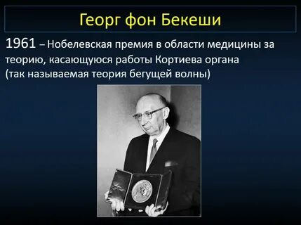 Теория бекеши