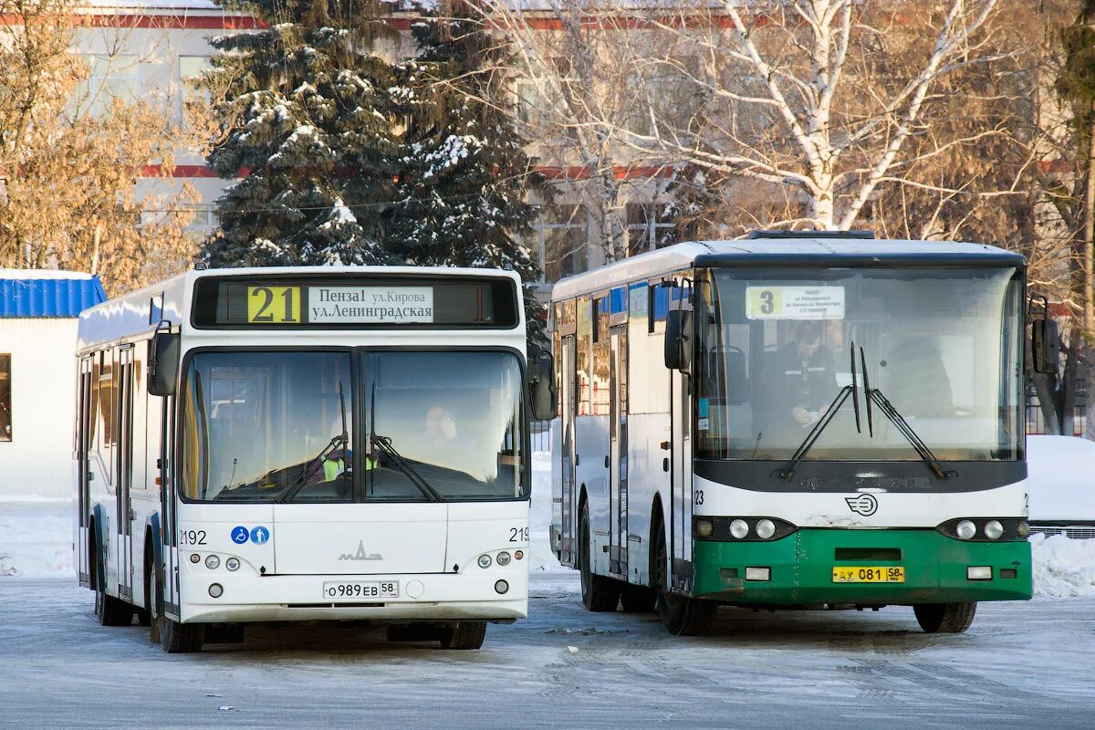 Автобус МАЗ 103 В Пенза. МАЗ 103 Пенза. ЛИАЗ 5270. Волжанин 5270 10 01 Пенза.