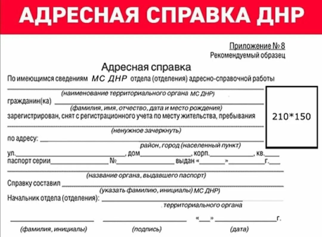 Адресная справка. Адресная справка ДНР. Как выглядит адресная справка. Адресная справка ДНР образец.