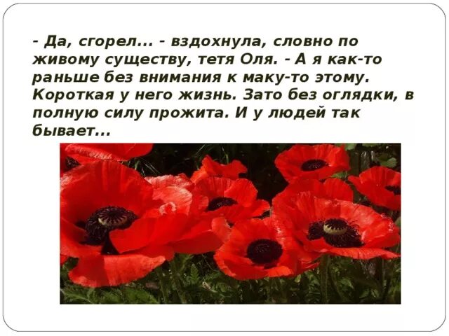 О чем рассказ живое пламя носова кратко. Носов живое пламя иллюстрация к произведению. Произведение живое пламя Носов. Рассказ е.Носова живое пламя.