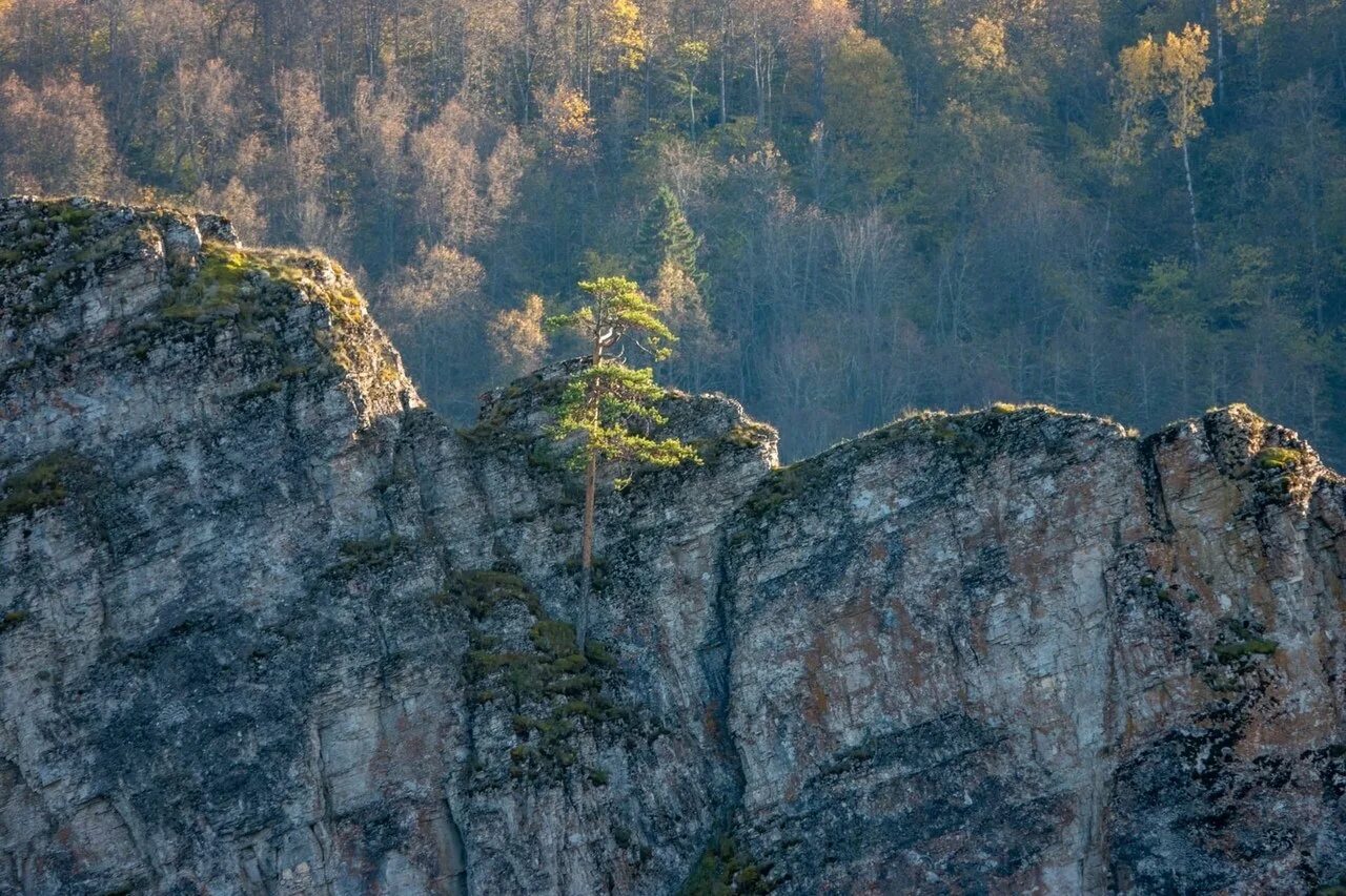 Скалы в башкирии. Скала кузьганак в башкирии. зилим скала мамбет. скала мамбет башкирия. скала мамбет гафурийский район.