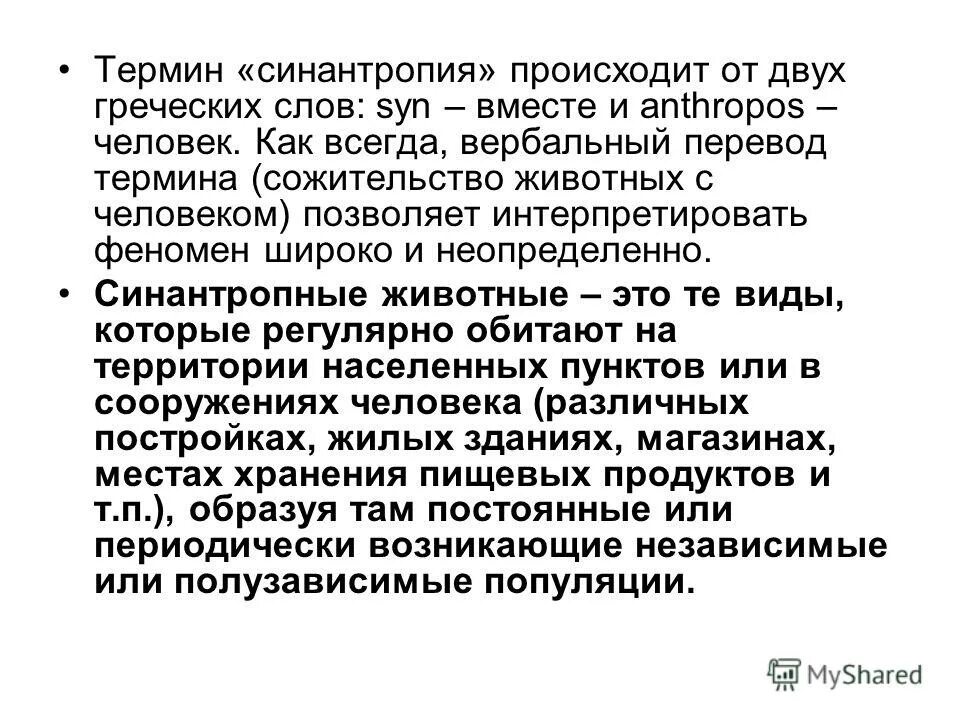 Каково значение синантропных животных в городской среде. Синантропия. Синантропные виды животных. Экологически ограниченная синантропия. Абсолютная синантропия примеры.