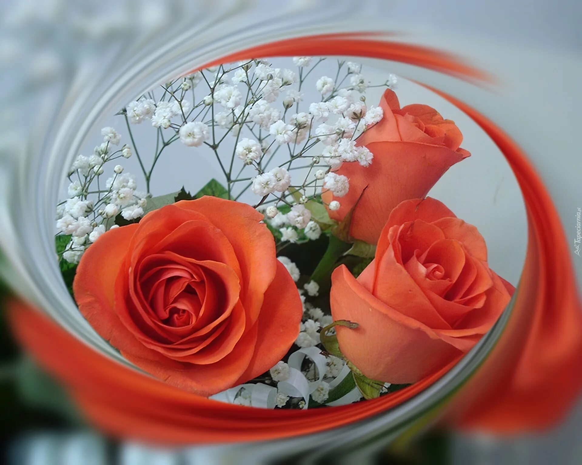 цветы для подруги. цветы дорогой подруге. цветы для подруги. цветы любят все мои подруги. красивые цветы для подруги.