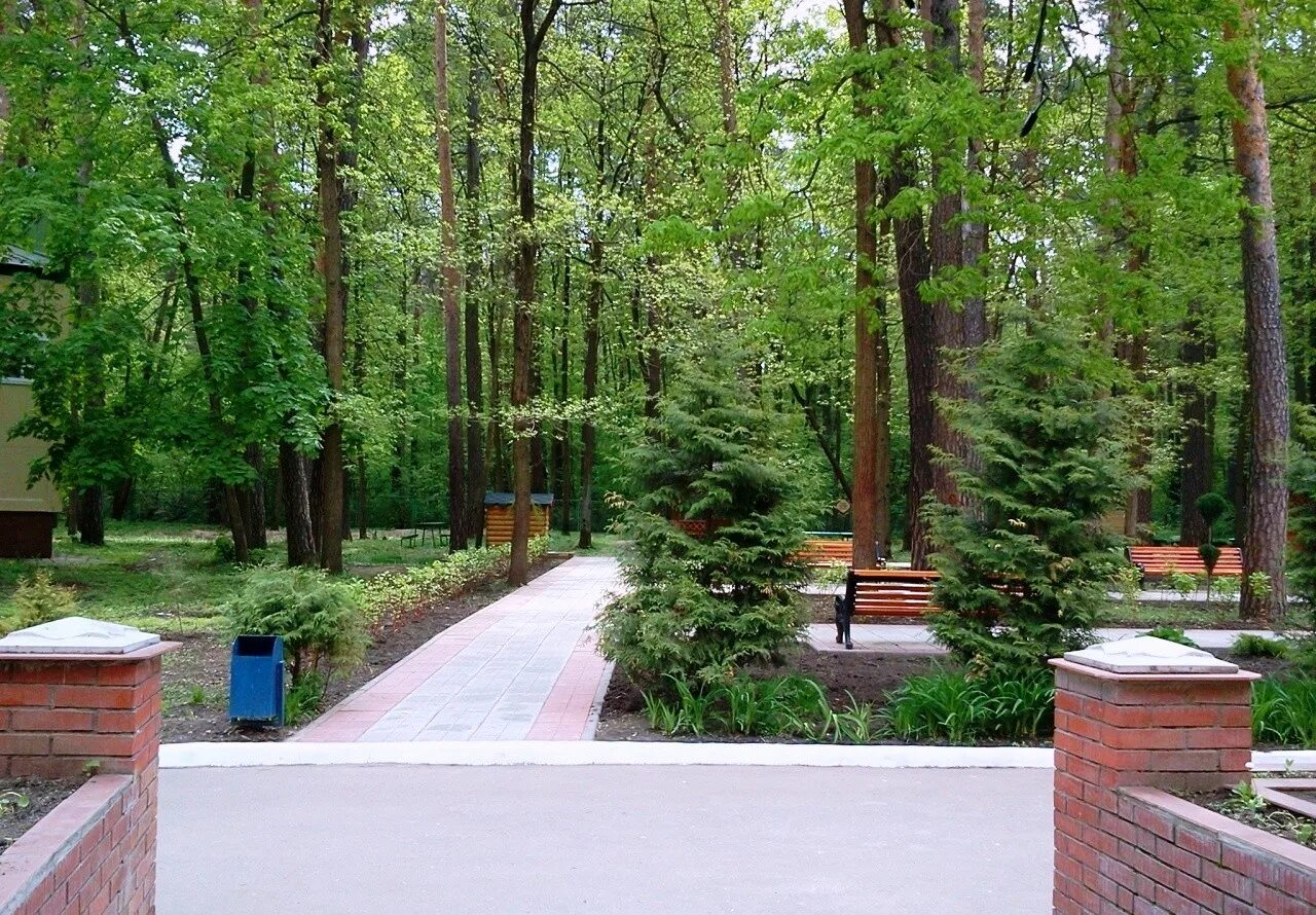 Санаторий строитель владивосток. Санаторий строитель приморский край санаторий. Санаторий профилакторий строитель. Санаторий строитель приморский край. Санаторий строитель алексин.