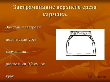 Дата среза