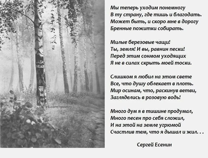 Уходят поэты стихи. Стихи Есенина. Есенин с. "стихи". Стихи Есенина о жизни. Красивые строки из стихов.