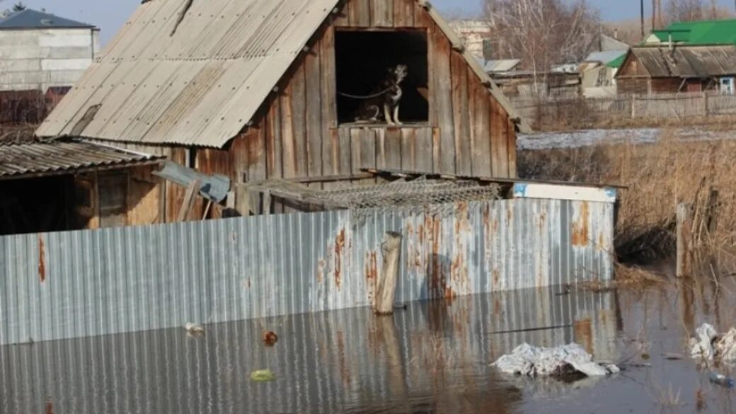 Погода село маралиха