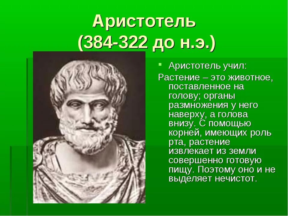 Аристотель 384-322 до н.э. Аристотель (384–322 гг. до н. э.), управление. Аристотель (384–322 до н. э.), греческий философ.. Портрет философа Аристотеля.