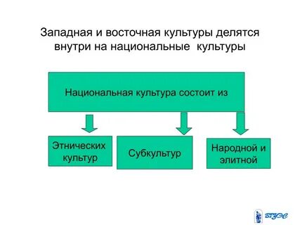 Из чего состоит культура