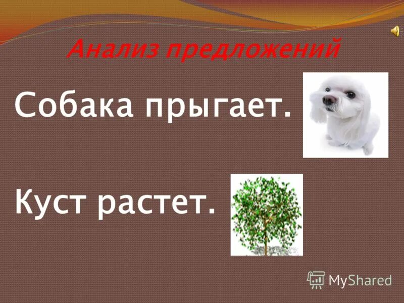 придумай предложение про собаку. предложение собачка. предложение собачка. предложение со словом собака. поедложениесо слоаом собака.