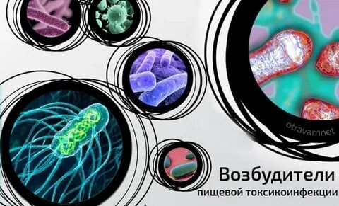 7 возбудитель