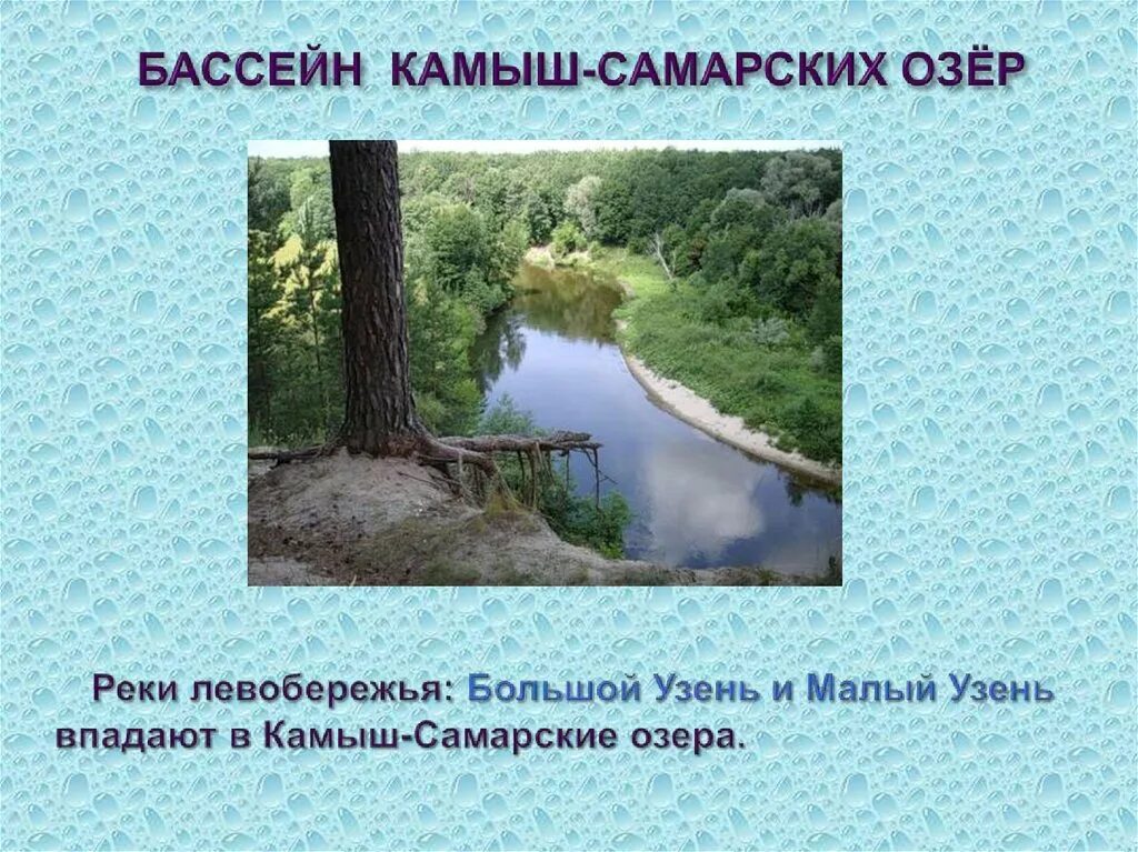 Камыш-Самарские озёра. Камыш-Самарские озёра на карте. Река камыш Самара. Водоемы Саратовской области презентация.