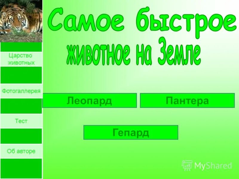 Карта царств живой природы. Условия содержания в биологии. Королевства живой природы. Какого животного. Содержание царства.