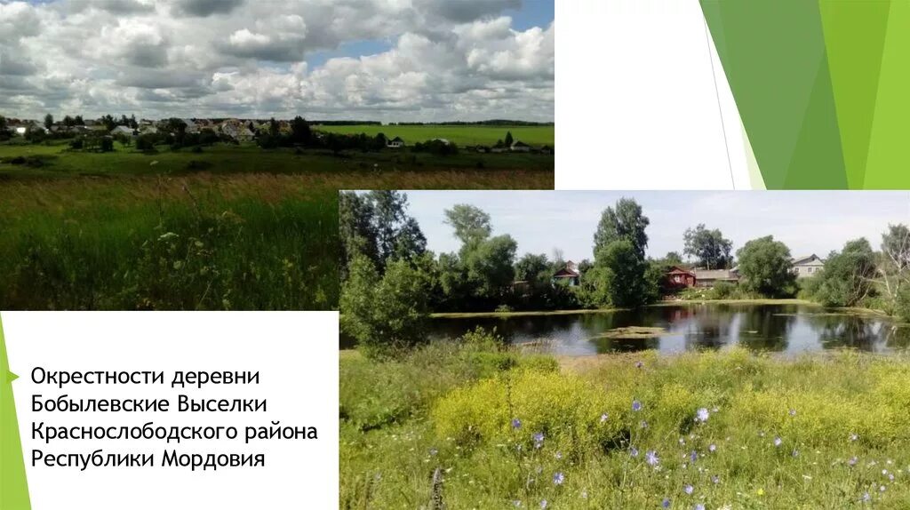 Бобылевские выселки. Краснослободск бобылевские выселки. выселки мордовия.