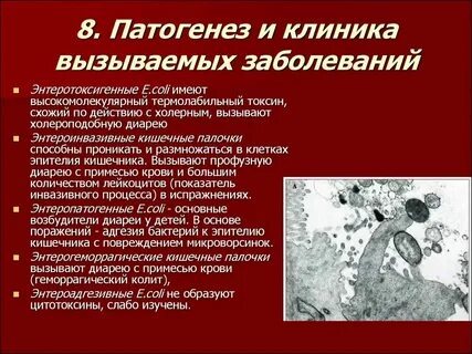 Первыми встречаются с бактериальной инфекцией
