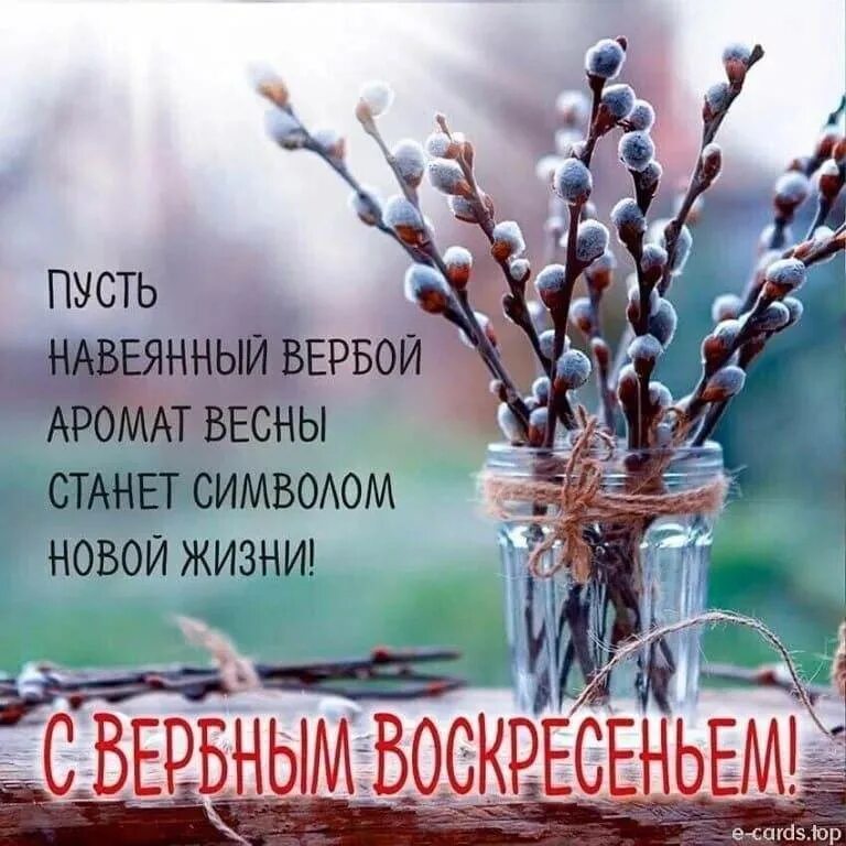 С вербным воскрес вербным воскресеньем. Вербное воскресенье поздравления. с вербным воскресеньем открытки. поздравления с верным воскрением. поздраален я с анрбныи воскресенье.