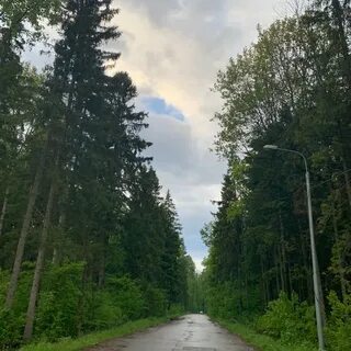 Дорога красногорск