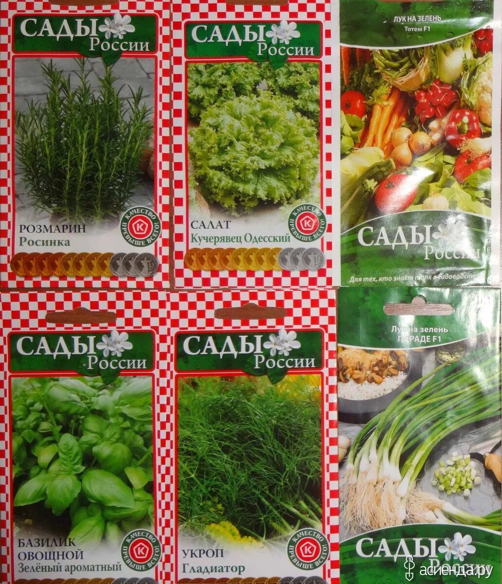 Каталог семян сады россии. Сады россии каталог семена 2022 челябинск. Семена челябинск интернет магазин. Семена челябинской селекции сады россии каталог 2021. Сады россии челябинск.