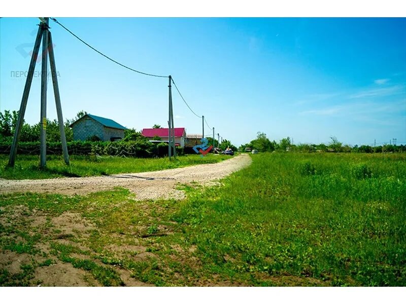 Участок 200 соток фото. Участок ижс. Деревень слобода. Земельный участок город нея. Кустарниковая растительность брянской.