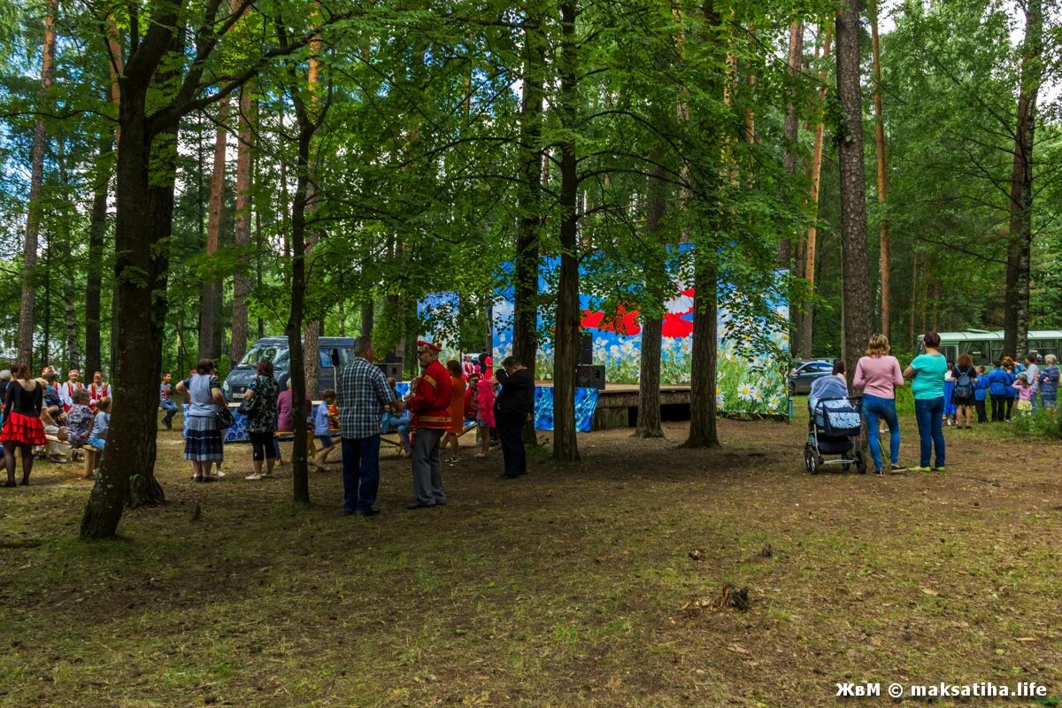 Прогноз погоды в максатихе. Парк в Максатихе. Максатиха лагерь. Максатиха день поселка. Максатиха старый парк.