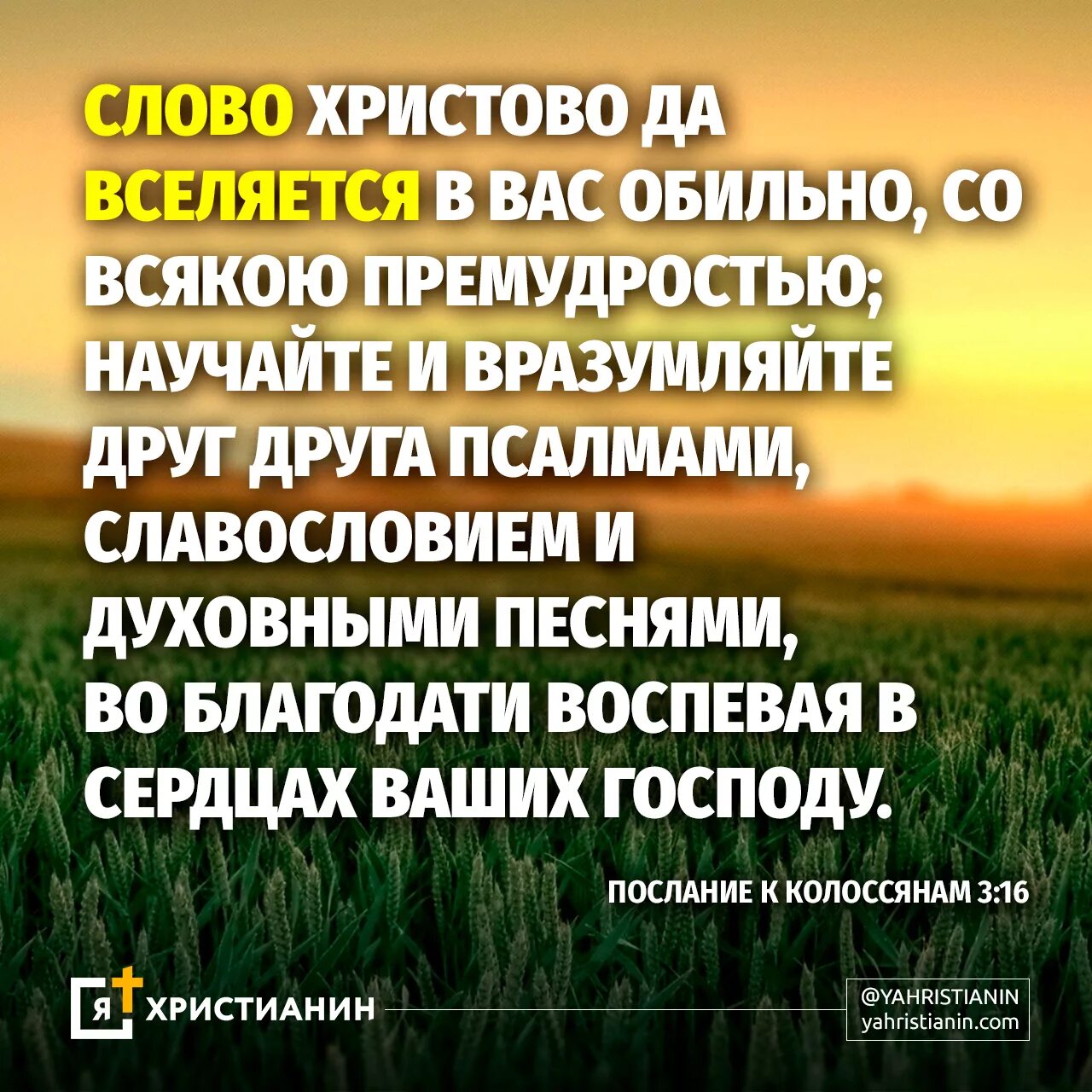 Псалом 25 читать. Стихи из Библии. Христианские тексты из Библии. Стихи из Библии на каждый день. Псалом цитаты из Библии.