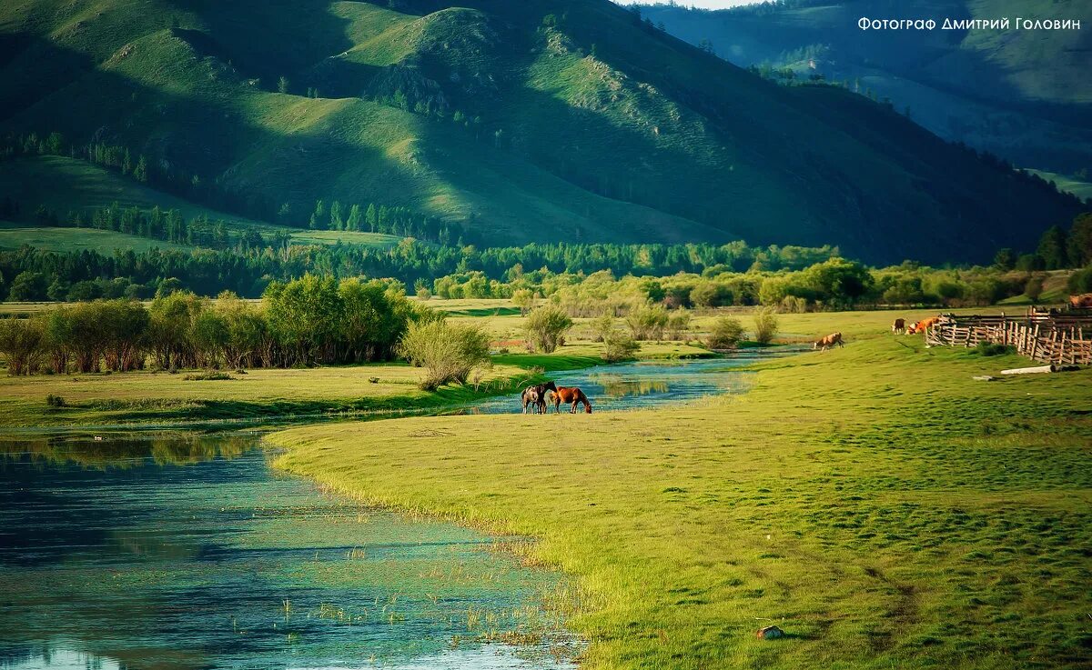 раздолье 7 букв