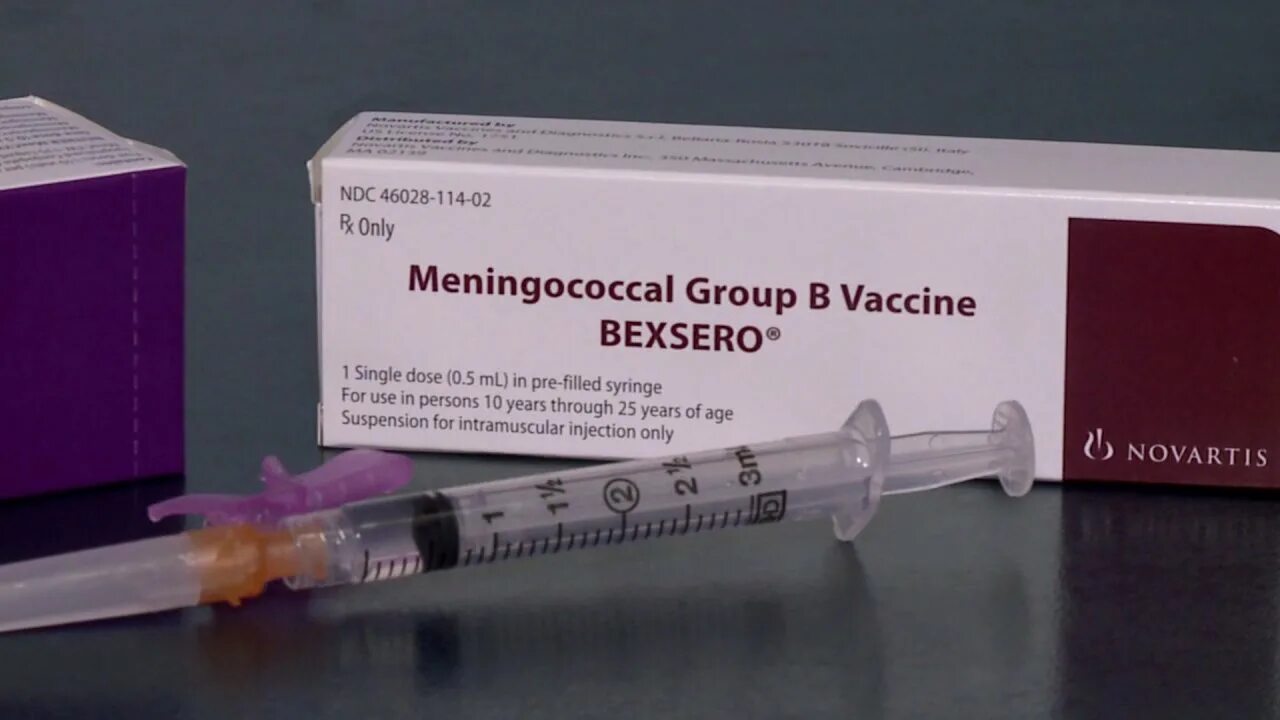 Bexsero вакцина. Вакцины от менингококка Бексеро. Шприц вакцины Бексеро. Bexsero схема вакцинации.