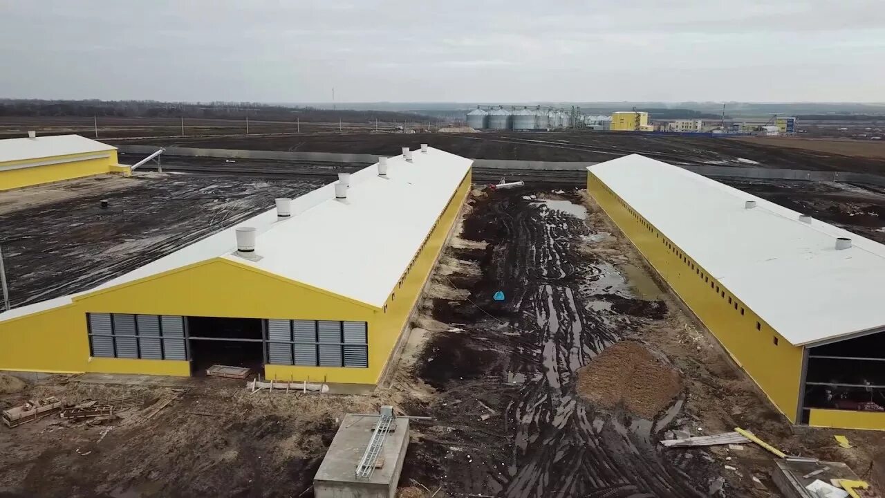 Здания птицефабрики