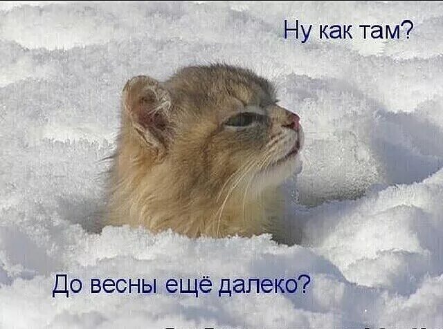 Посмеялся сам - поделись с другом!!!