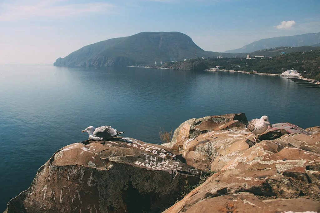 Алушта Утес мыс Плака. Мыс Плака Крым Алушта. Утес Партенит Крым мыс Плака. Мыс Плака и поселок Утес.