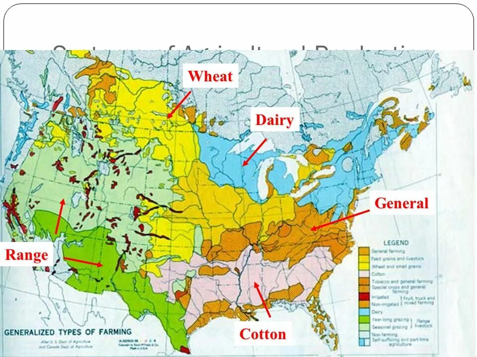 Сельское хозяйство США карта. Сельскохозяйственные пояса США на карте. Карта животноводства США. Районы сельского хозяйства США. Главные сельскохозяйственные районы сша