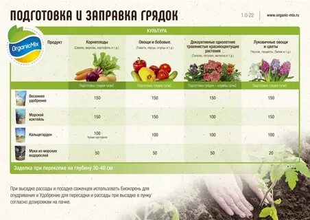 Удобрение для рассады овощей при посадке