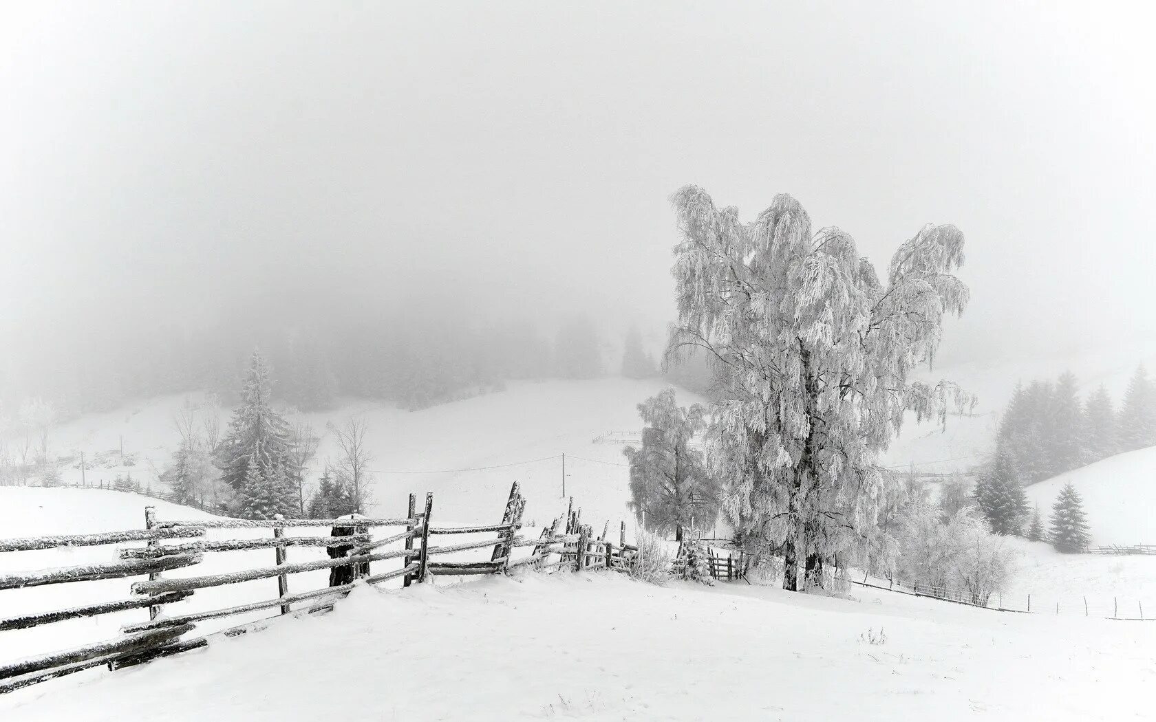 Русский запах снега. Зимний пейзаж. Белый пейзаж. Зимний пейзаж черно белый. Деревня зимой.