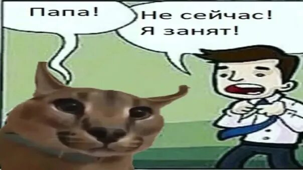 Шлеп магазин. Шлёпа мемы. шлёпа русский кот. шлепа кот мемы.